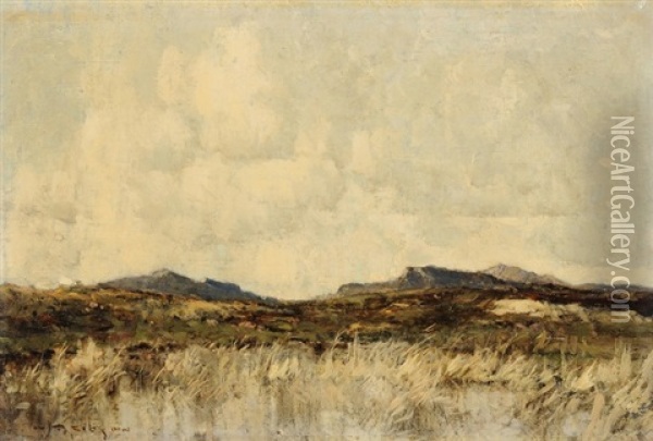 Schottische Gebirgslandschaft Oil Painting - William Alfred Gibson