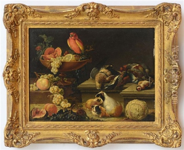 Still Life With Parrot, Game Fowl, Guinea Pigs And Fruit Oil Painting - Johann Amandus Winck