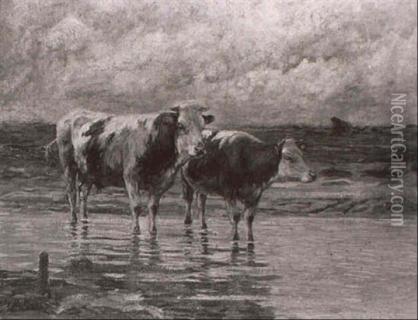 Kuhe An Der Tranke Im Seichten Wasser Vorn Oil Painting - Johann Daniel Holz