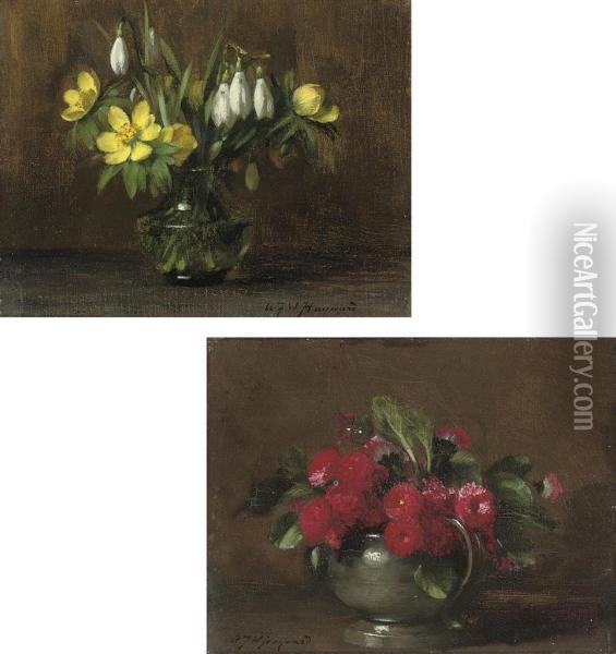 Daisy, Rob Roy; And Aconite And Snowdrops Oil Painting - Alfred Frederick W. Hayward