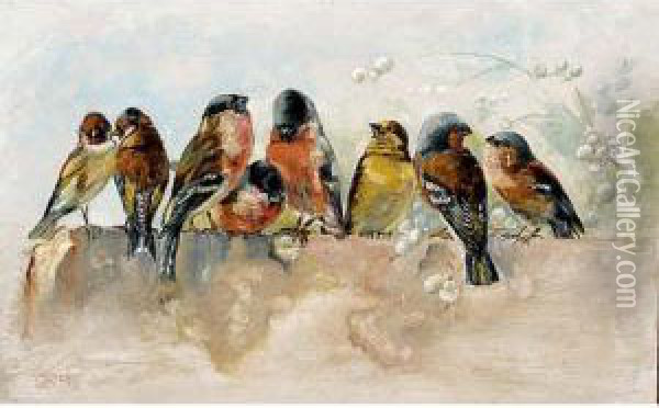 Birds On A Wall Oil Painting - Cornelis Stortenbeker