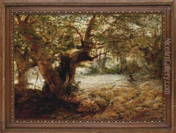 A Stalker In The Sunlit Woods Oil Painting - Andrew MacCallum