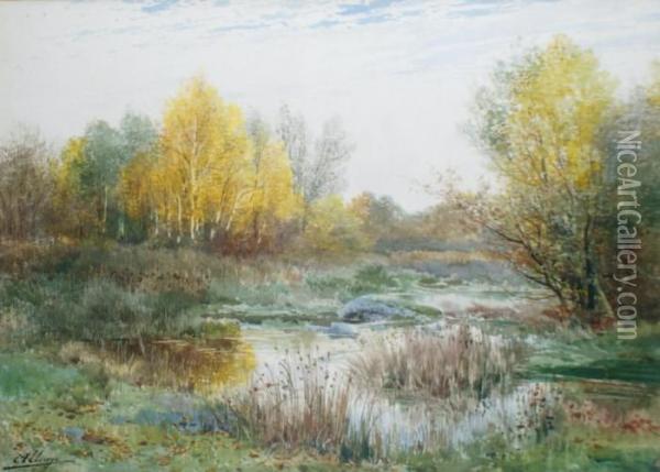 Petite Riviere A L'automne Oil Painting - Auguste Allonge