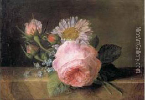 Roses, Marguerite Et Myosotis Sur Un Entablement De Marbre Oil Painting - Jan Frans Van Dael