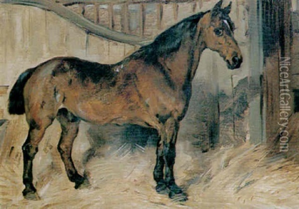 A Bay Carriage Horse In A Loosebox Oil Painting - John Emms