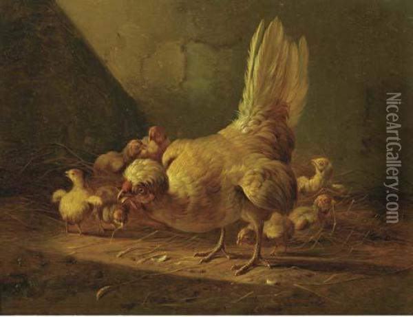 A Hen And Her Chicks Oil Painting - Albertus Verhoesen