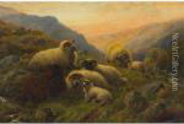 Long Horn Sheep Resting In A Highlands Oil Painting - Robert Watson