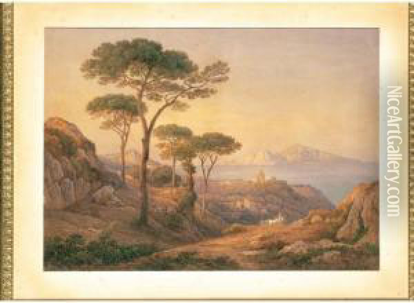 Veduta Di Capri Da Punta Campanella Oil Painting - Rudolf Muller