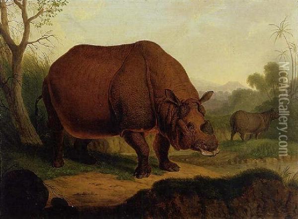 Rhinoceros Oil Painting - Christian Wilhelm K. Kehrer