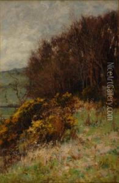British Summer Landscape With Flowering Gorse Oil Painting - Lester Sutcliffe