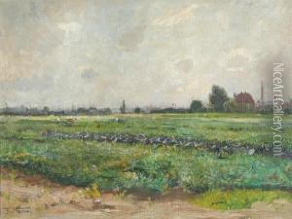 Summer Field In June Oil Painting - Frederick Vezin