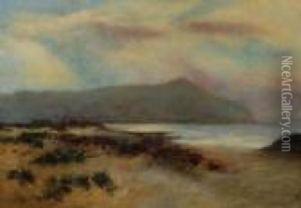 Coastal View Oil Painting - Daniel Sherrin