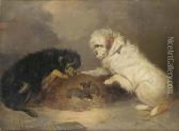 Terriers And A Rat Cage Oil Painting - George Armfield
