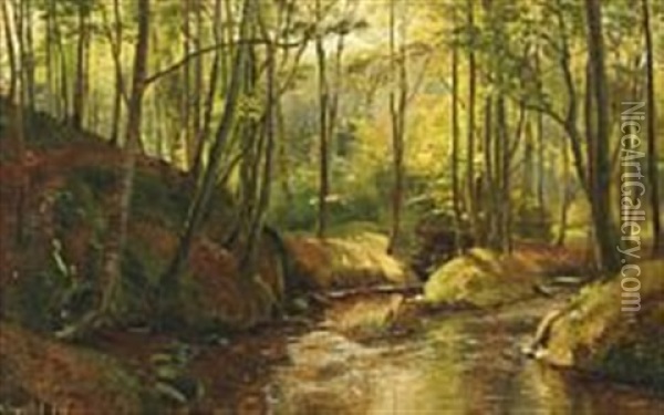 The Stream At Moesgaard Forest Oil Painting - Janus la Cour