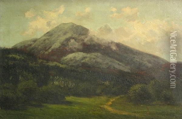 A Group Of Landscapes (13) Oil Painting - Annie Lyle Harmon