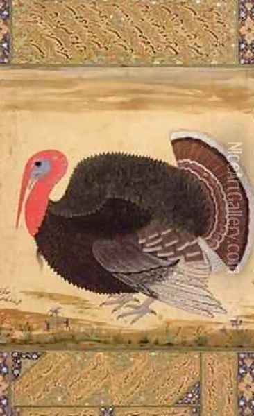 A turkey-cock brought to Jahangir from Goa in 1612 Oil Painting - (Ustad Mansur) Mansur