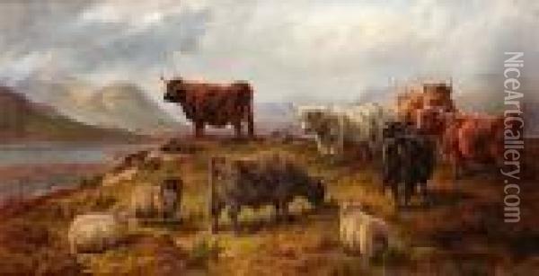 Highland Cattle And Sheep, Seen Near Loch Linnhie, Nb Oil Painting - Charles Jones