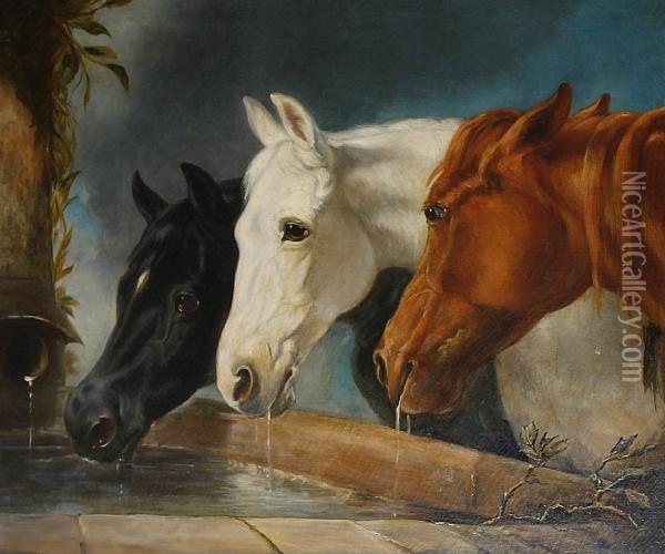Horses Watering At A Trough Oil Painting - John Frederick Herring Snr