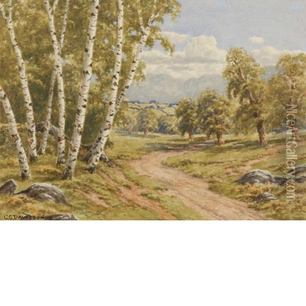 Birch Trees Oil Painting - Charles Grant Davidson