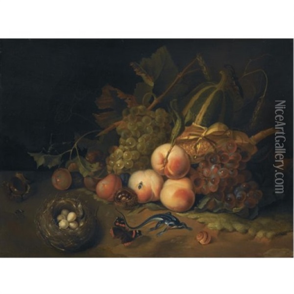 A Still Life Of Peaches, Blue And White Grapes, Prunes And Corn, Together With A Bird's Nest, A Butterfly, A Lizard And Other Insects Oil Painting - Rachel Ruysch