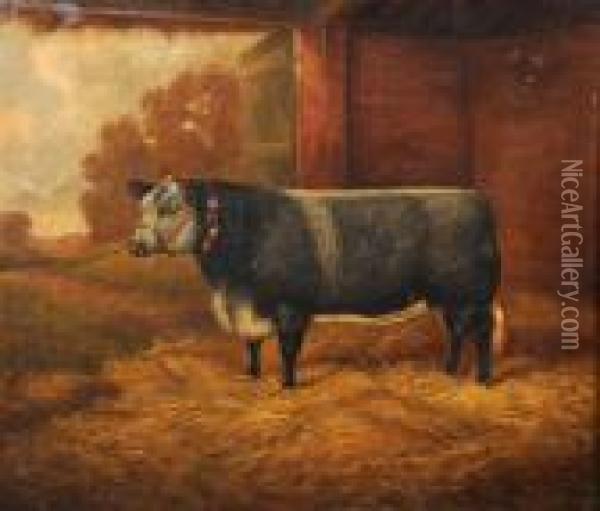 British 
Lily, A Champion Heifer In A Barn Oil Painting - William Albert Clark