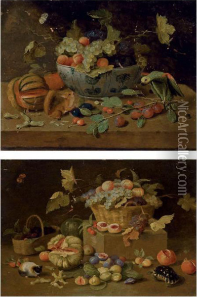 Fruits Dans Un Plat En Delft, 
Perroquet Et Ecureuil Sur Un Entablement; Et Un Panier De Fruits, Tortue
 Et Cochon D'inde Oil Painting - Jan van Kessel