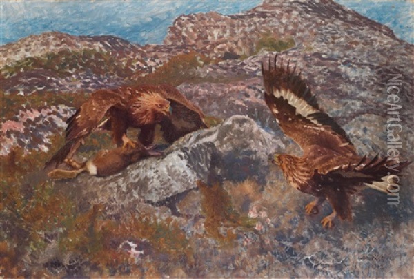 Golden Eagles Attacking A Hare Oil Painting - Bruno Liljefors
