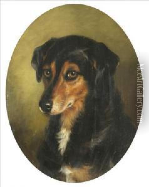 Study Of Asheepdog Oil Painting - Benjamin Cam Norton