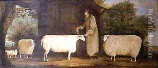 A Shepherd with his Flock Oil Painting - J.D. Curtis