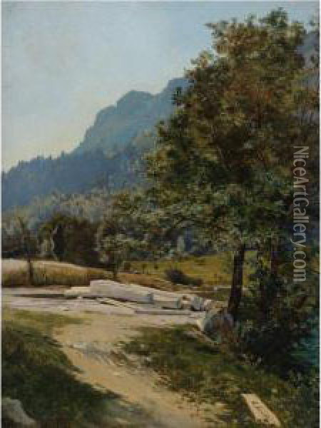 Wald Mit Gefallten Baumen (wooded Landscape) Oil Painting - Carl Schuch
