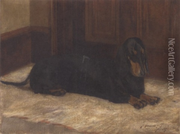 A Dachshund In An Interior Oil Painting - R. Douglas Fry