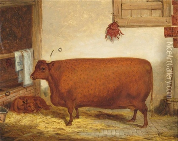 Prize Cow And Calf In A Stable Oil Painting - Richard Whitford Jr.
