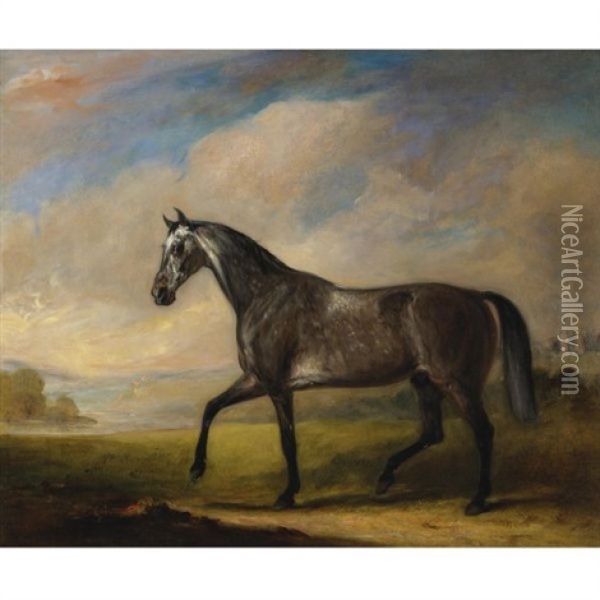 A Dappled Grey Horse In An Extensive Landscape Oil Painting - John E. Ferneley