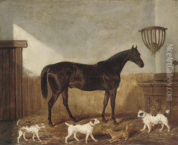 A Favourite Hunter And Terriers In A Stable Oil Painting - James Loder Of Bath
