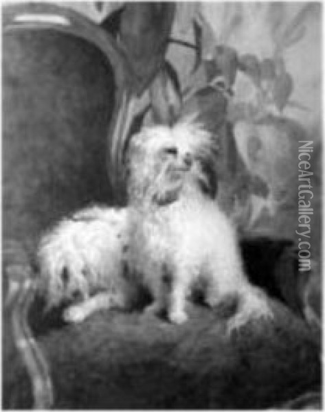 Maltese Terriers On A Chair Oil Painting - Adolf Henrik Mackeprang