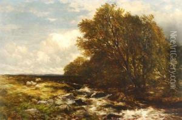 A Moorland Stream Oil Painting - Edmund Morison Wimperis