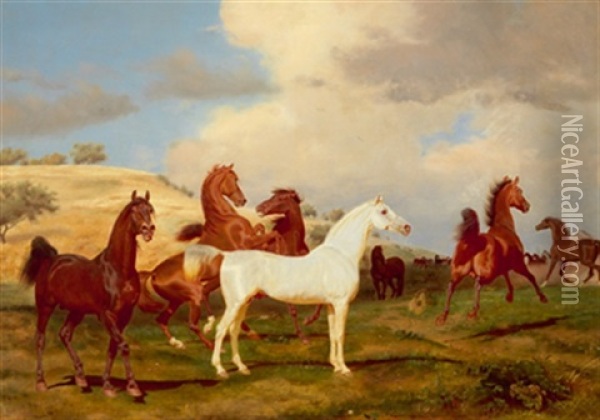 Pferde Auf Der Weide Oil Painting - Friedrich Anton Kilp