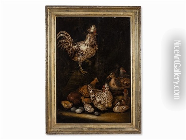 Rooster With Chicks Oil Painting - Petrus Schotanus