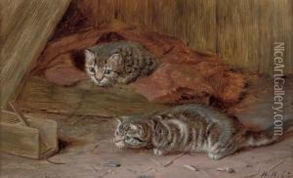 A Fascinating Tail Oil Painting - Horatio Henry Couldery
