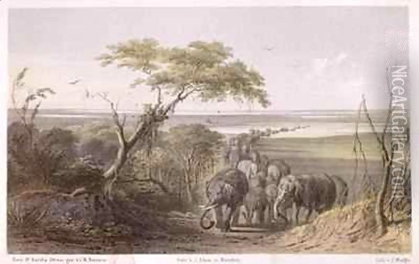 Herd of Elephants on the border of Chad Oil Painting - Johann Martin Bernatz