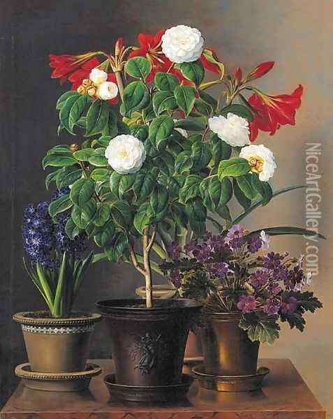 Camelias, amaryllis, hyacinth and violets in ornamental pots on a marble ledge Oil Painting - Johan Laurentz Jensen