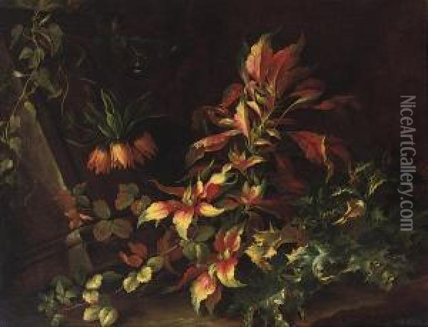 A Forest Floor With Flowers And Distels Oil Painting - Niccolino Van Houbraken