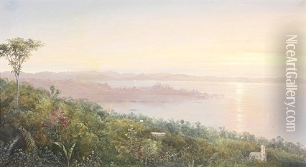 View Of The Tropics Oil Painting - Norton Bush