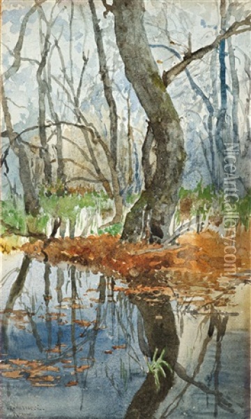 Baume Im Sumpf Oil Painting - Pietro Barucci