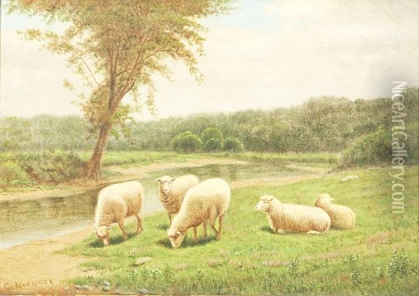 Sheep Grazing Oil Painting - Clinton Loveridge