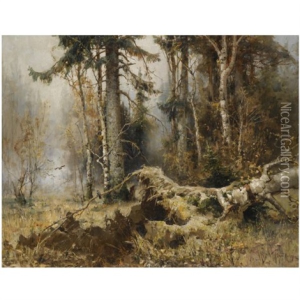 The Forest In Early Morning Oil Painting - Yuliy Yulevich (Julius) Klever