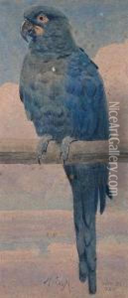 A Blue And Green Parrot Seated On Aperch Oil Painting - Henry Stacy Marks