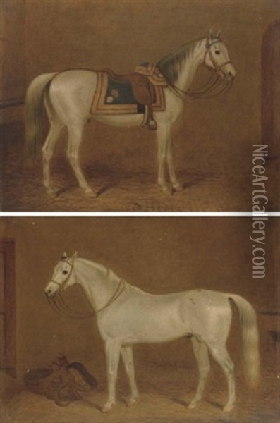 A Grey Hunter In A Stable (+ A Grey Saddled Hunter In A Stable; 2 Works) Oil Painting - George Morley