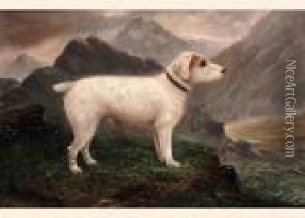 A Terrier In A Highland Landscape Oil Painting - John Crampton Walker