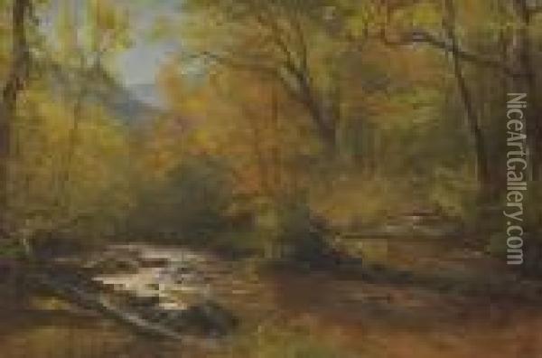 Brook In Woods Oil Painting - Albert Bierstadt